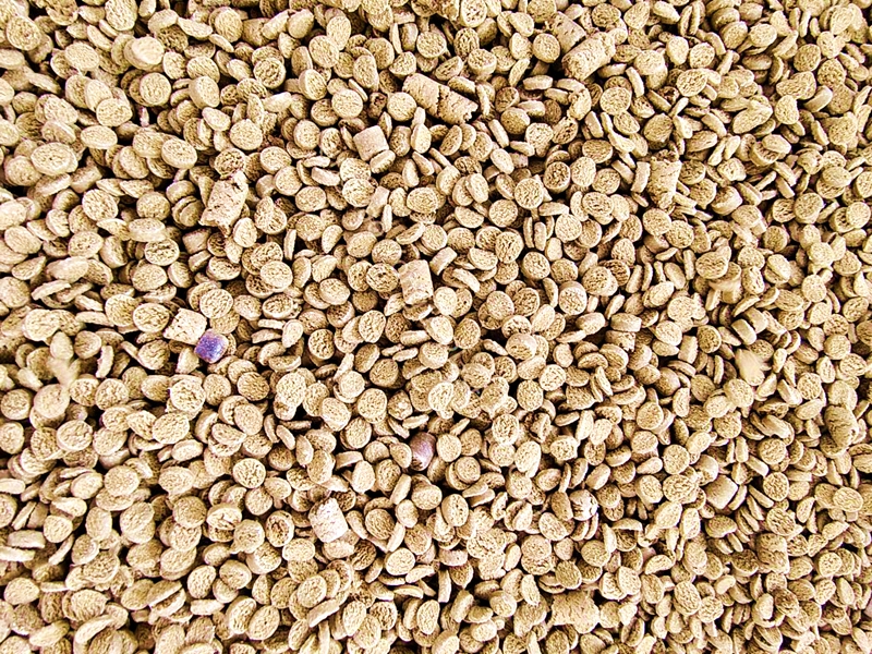 Wat is de verwerkingstemperatuur van WPC -granulatiemachine?